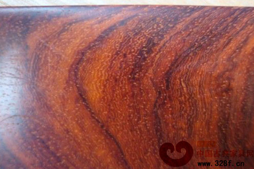 認(rèn)識(shí)盧氏黑黃檀