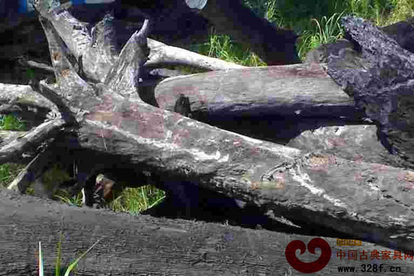 菲律賓烏木鑒賞