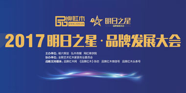 2017明日之星·品牌發(fā)展大會
