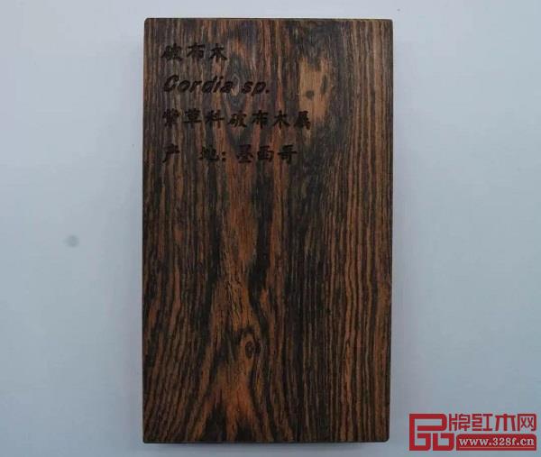 墨西哥黃金檀(白綠葉破布木) 墨西哥黃金檀(白綠葉破布木)