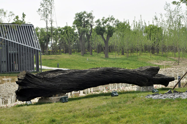 都說烏木貴，那是因為它珍貴稀少作用還多！