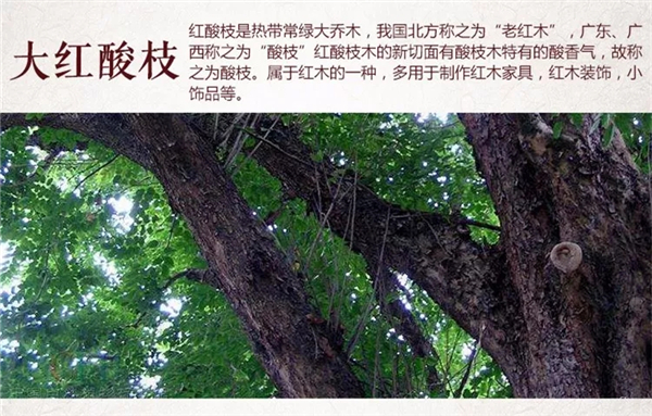 大紅酸枝為什么被叫做“老紅木”？