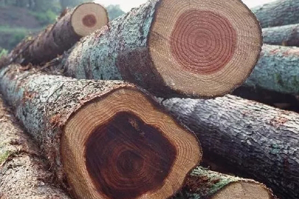 國標(biāo)二十九種紅木——伯利茲黃檀