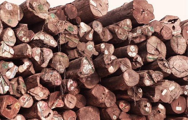 2019年國內(nèi)緬甸花梨木最新價(jià)格：穩(wěn)中有升