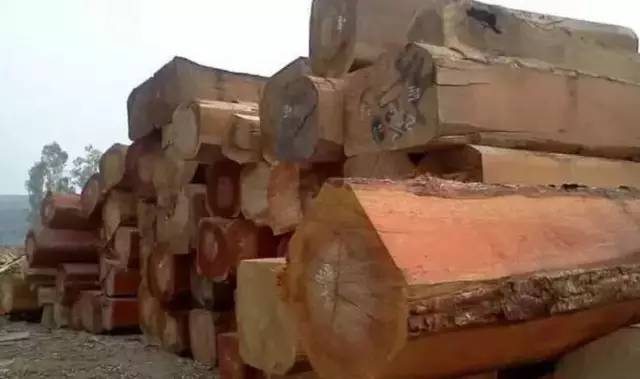 緬甸花梨有沒有收藏價值？緬甸花梨家具能保值嗎