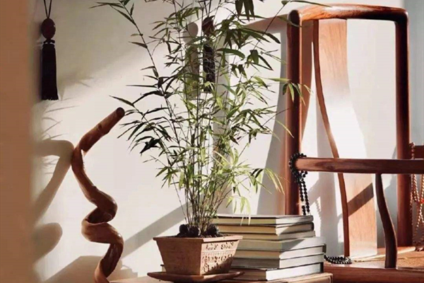 穿越時(shí)空界限的中式宅院，藏在外國(guó)小鎮(zhèn)里