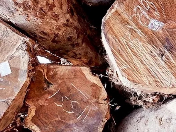 關(guān)于闊葉黃檀黑酸枝，你要知道……