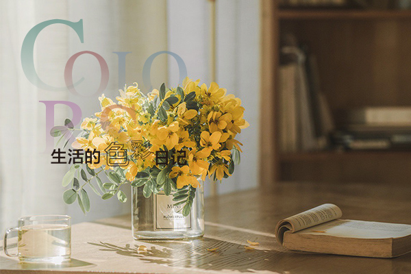 定制家的溫柔，用色彩捕捉生活的美