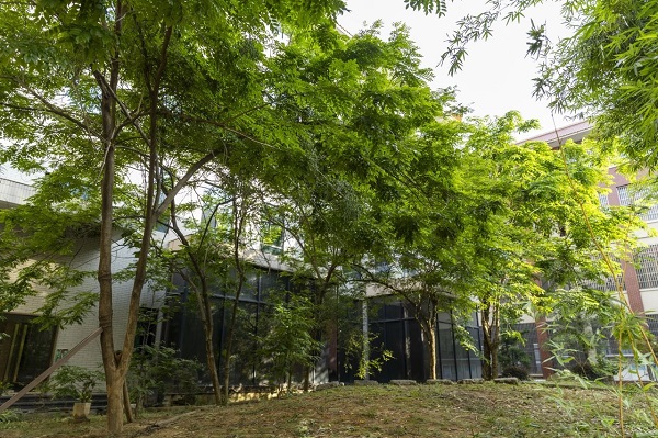 大家之家：海南黃花梨家具收藏，稀缺價(jià)值與品牌選擇之道