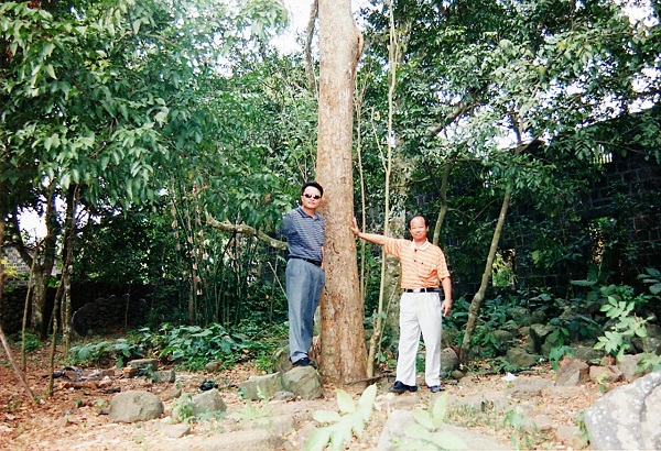 海南黃花梨：林慶財(cái)?shù)陌V迷與守護(hù)