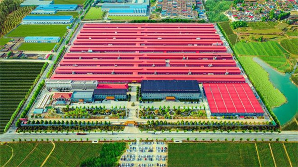 推薦做高端紅木家具的廠家，巧奪天工紅木值得關注