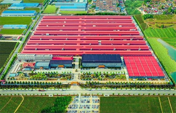 巧奪天工紅木大國(guó)工廠 巧奪天工紅木大國(guó)工廠