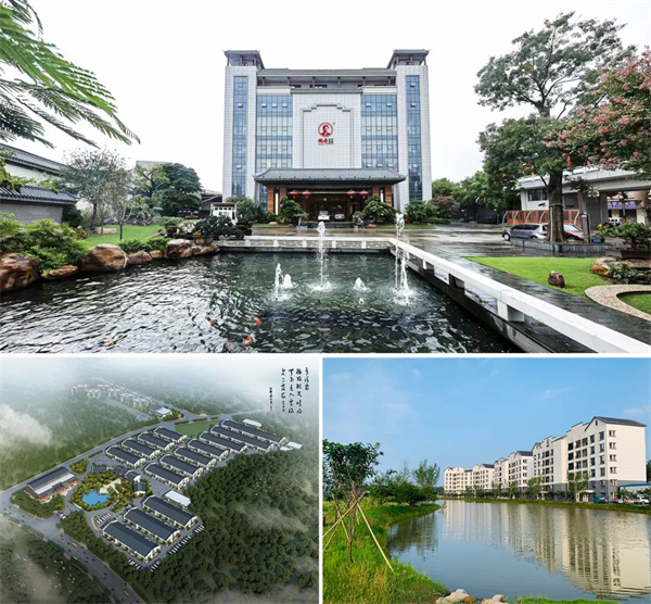 國壽紅木以產(chǎn)業(yè)革新者的使命引領(lǐng)行業(yè)